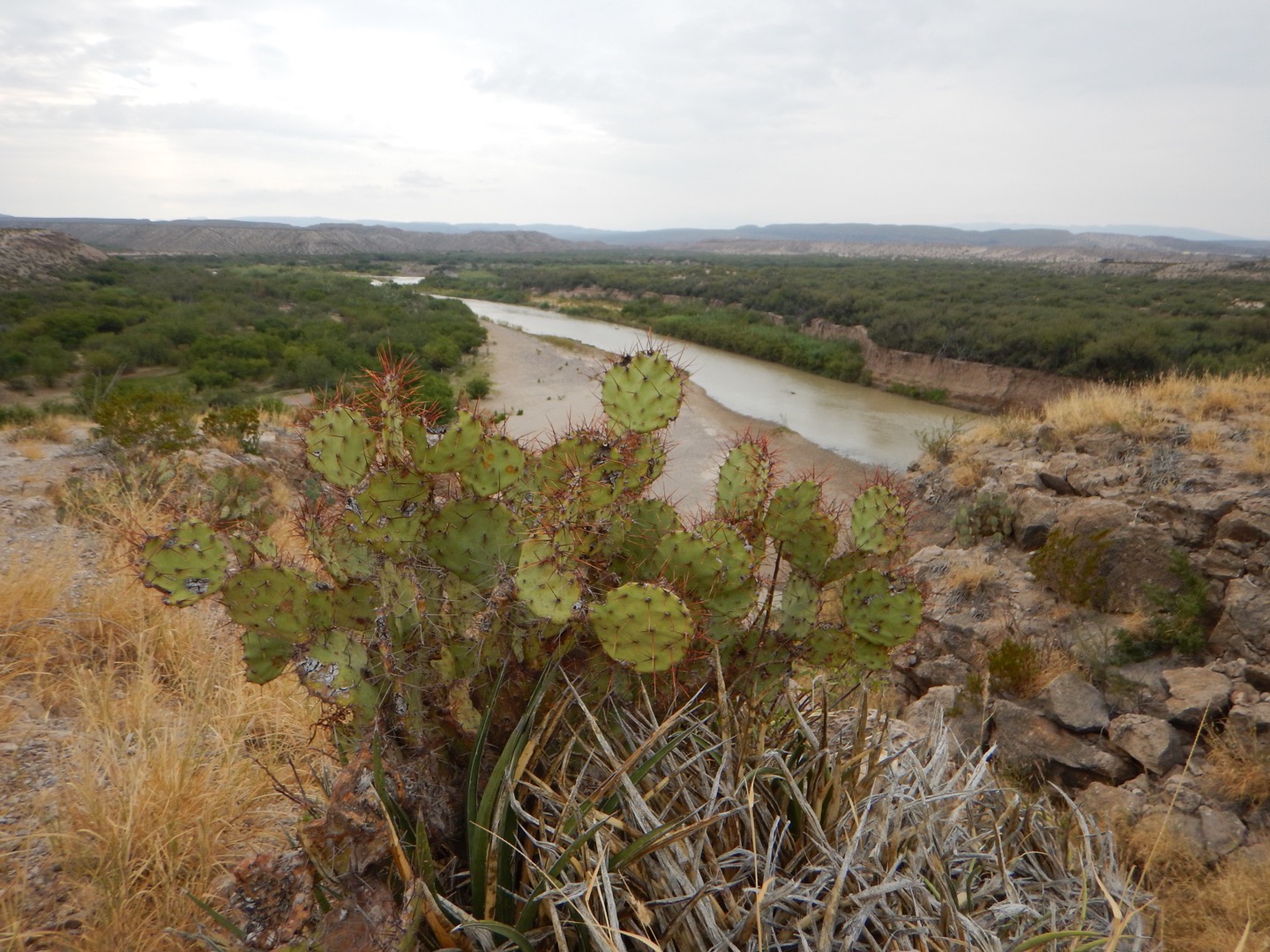 Big Bend National Park